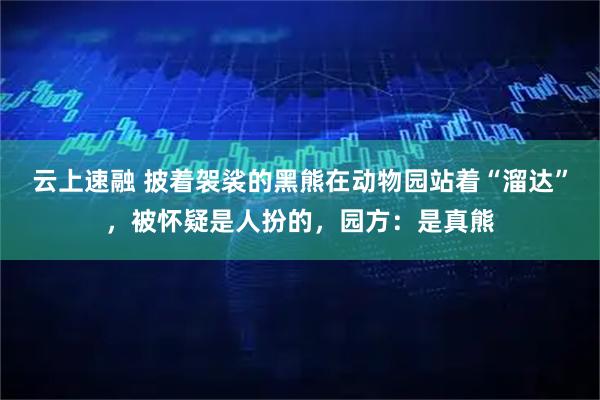 云上速融 披着袈裟的黑熊在动物园站着“溜达”，被怀疑是人扮的，园方：是真熊