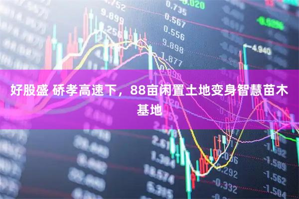 好股盛 硚孝高速下，88亩闲置土地变身智慧苗木基地