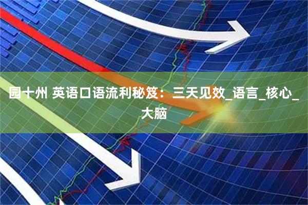 园十州 英语口语流利秘笈：三天见效_语言_核心_大脑