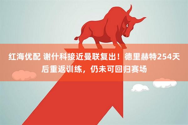 红海优配 谢什科接近曼联复出！德里赫特254天后重返训练，仍未可回归赛场