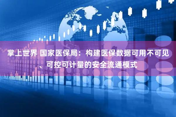 掌上世界 国家医保局：构建医保数据可用不可见、可控可计量的安全流通模式