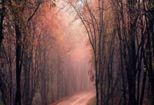 杠杆怎么买:如何加杠杆-芯片供应“后备计划”受关注 阿里巴巴股价大涨